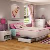 Queen size Modern Platform Bed with 2 Storage Drawers in White Finish